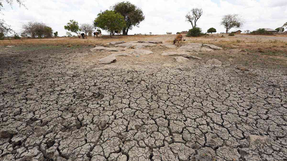 Boden verdorrt, Feld überflutet: Afrikanische Bauern kämpfen mit dem Klimastress