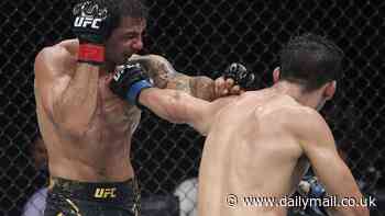 Aussie underdog Steve Erceg goes agonisingly close to UFC title - but makes fatal mistake in final round