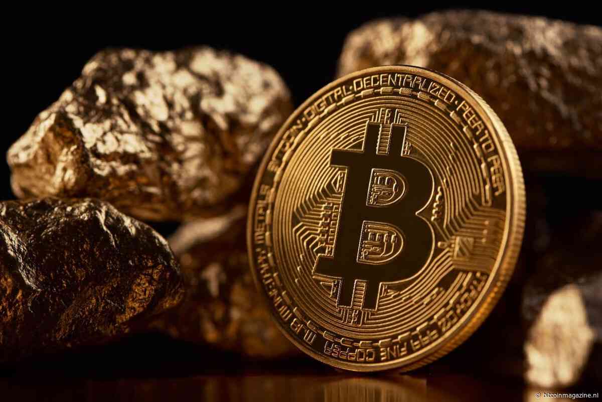Bekende economen sparren: Kan bitcoin goud vervangen als inflatie hedge?