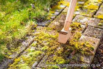 How to get rid of garden patio moss with this cheap 35p hack