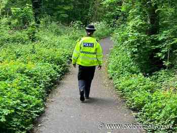 Abingdon gang of six detained after police chase in woods