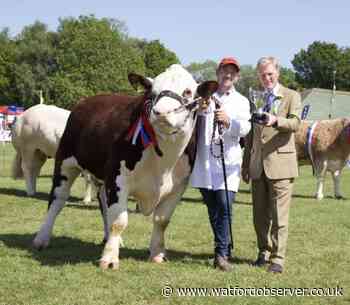 Hertfordshire County Show to feature falcony, food and more