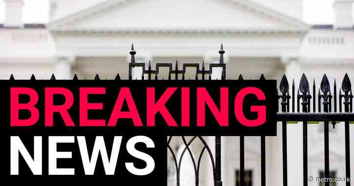 Man dies after car crashes into gates of the White House