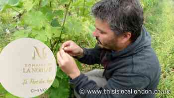 Wines of the Loire in France are varied and versatile