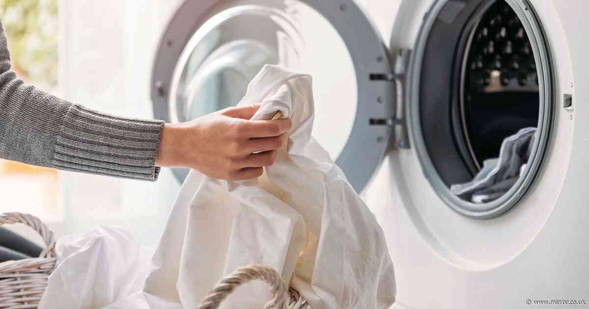 Woman issues washing machine warning after finding alarming 'growth' inside door