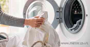 Woman issues washing machine warning after finding alarming 'growth' inside door