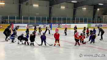Grand River Mustangs want more equal access to ice time, call on township to revise policy