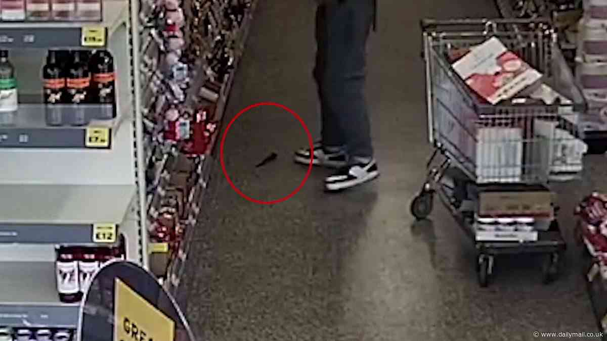 Moment clumsy shoplifter is caught on CCTV stealing wine and sweets from a corner shop after his KNIFE fell out of his trousers