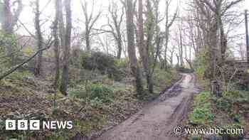 Parcels of woodland to be accessible to public
