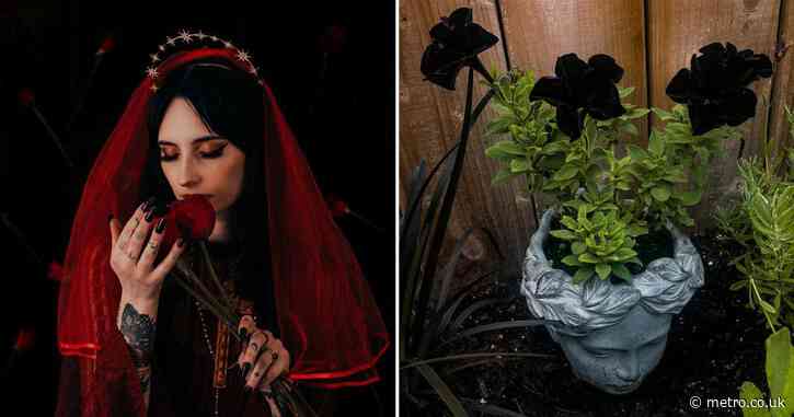 I created the ultimate goth garden — it speaks to my personality