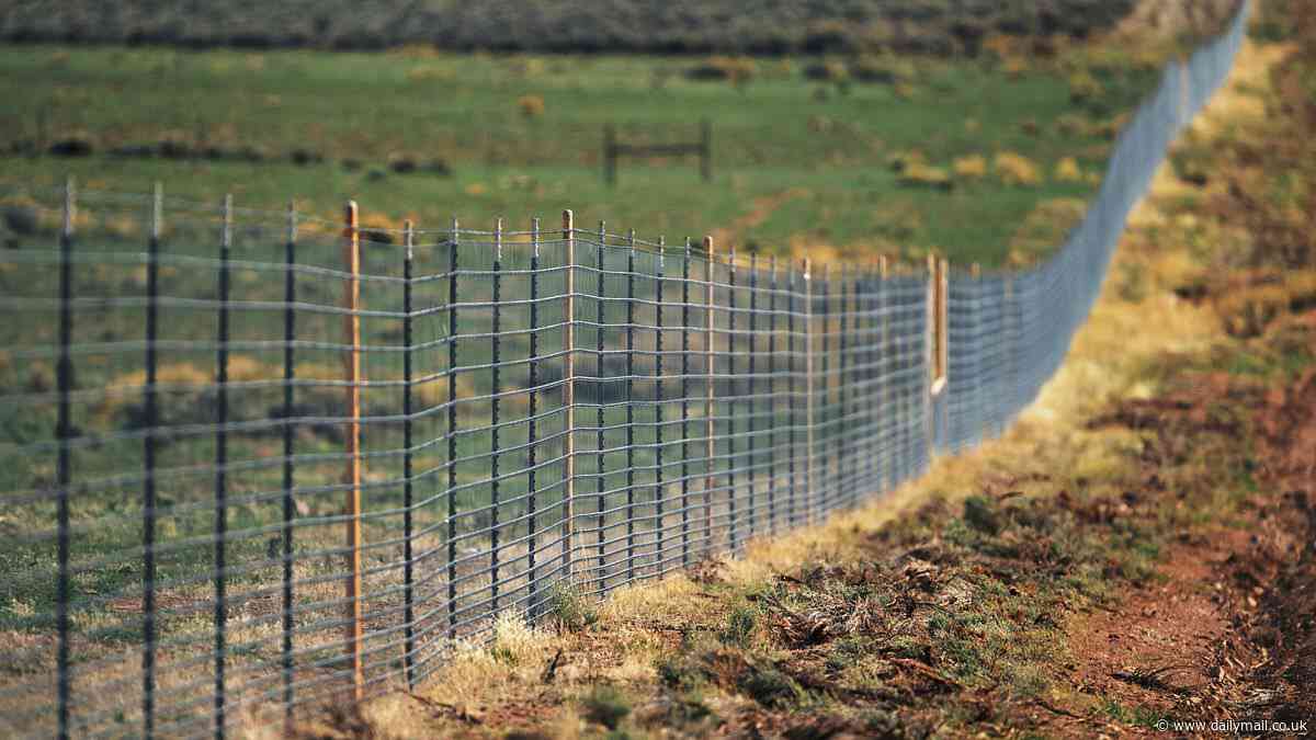 Texas oil baron's billionaire son, 37, builds 20 miles of barbed wire fence around his $105 million Colorado ranch to keep out locals who claim they are legally allowed on the land