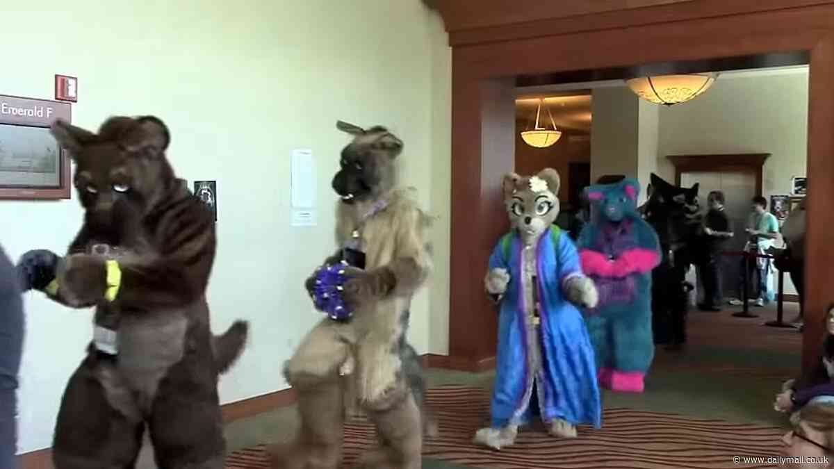 How furry convention descended into orgy of sex, violence and destruction as diaper clad adults dressed as cuddly animals trashed host hotel