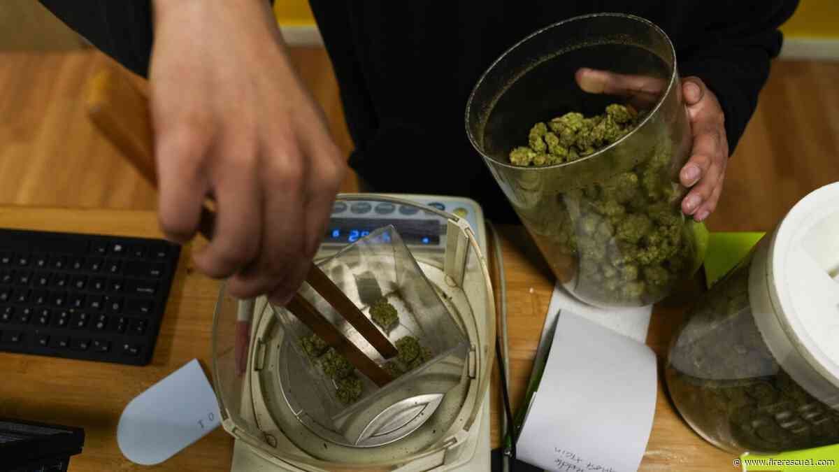 Justice Department considers reclassifying marijuana, recognizing medical uses