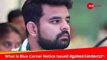 Blue Corner Notice Against Prajwal Revanna: What Is It? How Does It Affect Diplomatic Passport Holders?