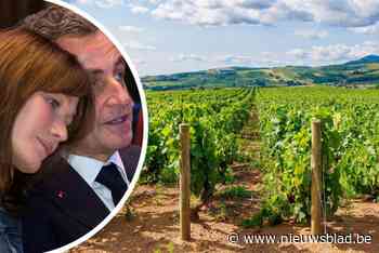 Nicolas Sarkozy en Carla Bruni verwikkeld in de ‘rosé-oorlog in de Provence’: een strijd tussen boeren en miljonairs