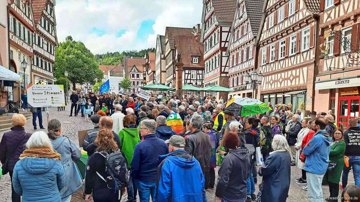 Gegen Rechtsextremismus: Deutlich mehr als 200 Teilnehmer demonstrieren für ein buntes Calw