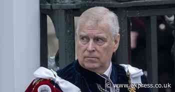 Prince Andrew ‘sees an opportunity’ and has big moves in mind, says expert