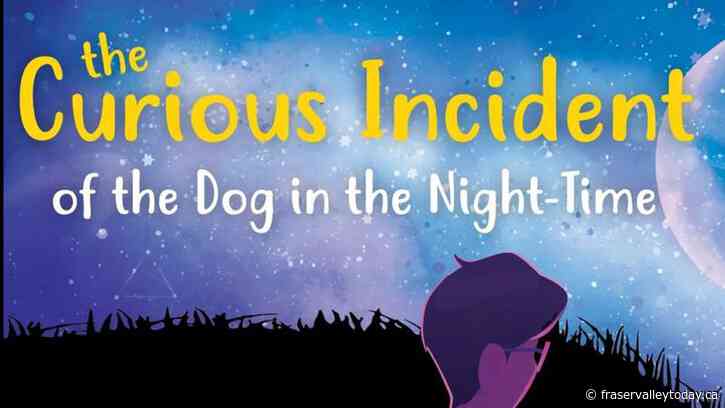 Gallery 7 Theatre to present final production of the season: The Curious Incident of the Dog in the Night-Time