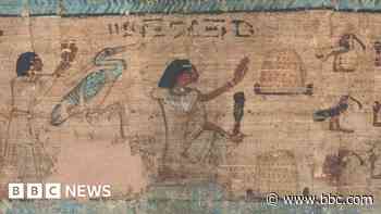 Museum spotlights ancient Egypt beyond the mummies