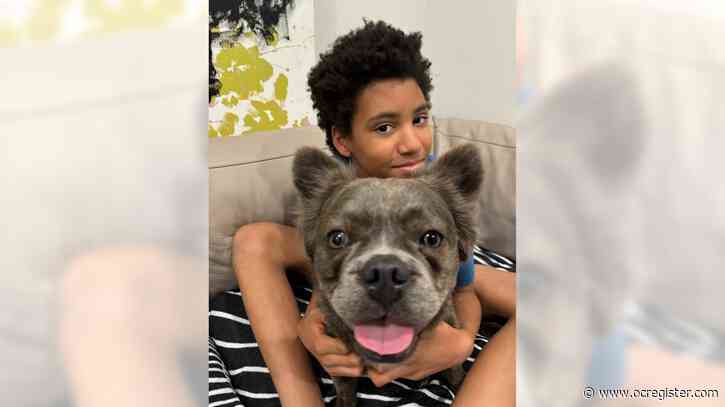 Stolen French bulldog ‘Diego’ reunited with Altadena family