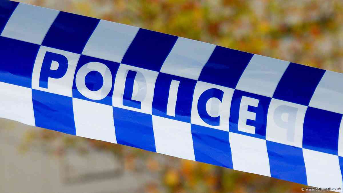 Point Hut Crossing: Human remains found along Murrumbidgee River in the ACT