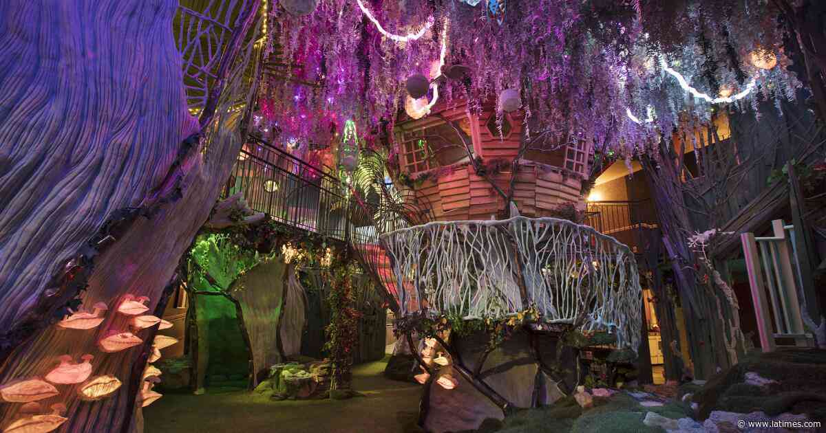 Is Los Angeles Ready For Meow Wolf?