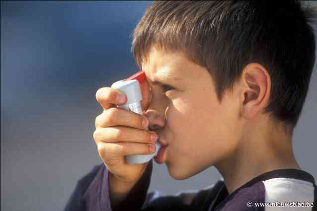België scoort internationaal ronduit slecht op het vlak van astmabeleid: “Een nationaal astmaplan is dringend nodig”