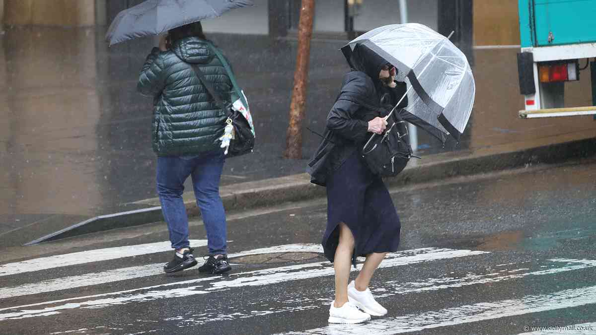 Wet weather to hit Sydney for another 10 days after weekend of wild conditions