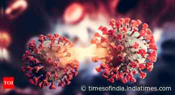 FLiRT, new COVID variants on loose: Symptoms to know