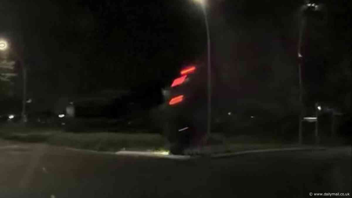 Hamilton, New Zealand crash: Wild moment learner driver flies through the air and smashes car into a roundabout injuring a child in the backseat