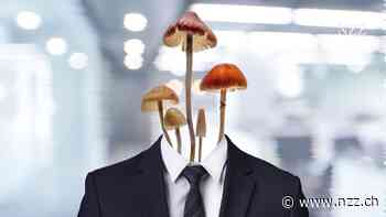 PODCAST - Mit Magic Mushrooms zum besseren Chef: «Psychedelic Leadership» ist im Trend