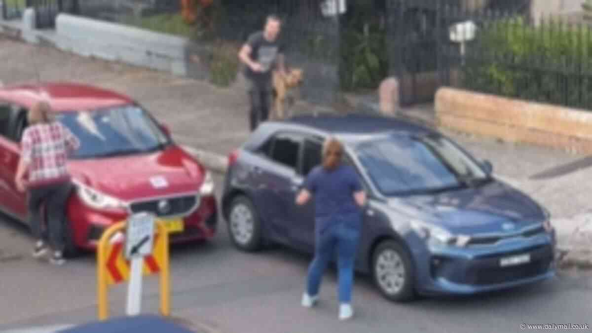 Aussies divided over fiery moment dog walker berates two drivers for holding up traffic over a minor prang on busy street