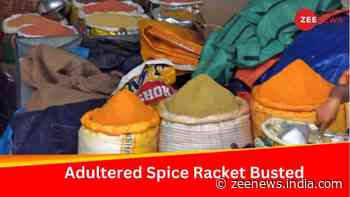 Spices In Your Kitchen May Not Be What You Think; Delhi Police Busts Massive `Masala Racket`