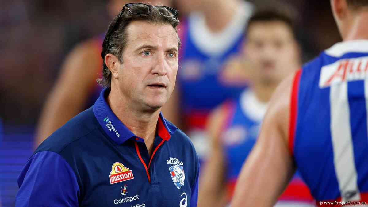Bevo ‘won’t be sacked’ as Dog days return... but a ‘Dimma-like’ exit could work wonders