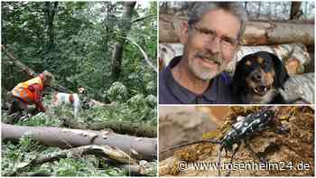 Spürnasen auf Sonder-Mission: Wie Louis und Wast die Wälder um Rosenheim schützen