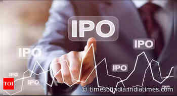 Indegene IPO: Subscription is now open till May 9; should you invest?