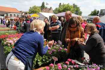 Bloemenmarkt en kraampjes met streekproducten kleuren straks marktplein