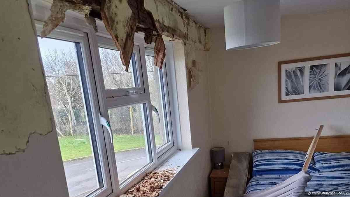 Britain's shameful military housing: Damp, mouldy homes riddled with pests, shoddy gas and electrical fittings are a 'tax on the goodwill' of the UK's armed forces heroes and their families, landmark review finds