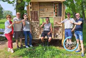 Buurt van de Plompaert plaatst insectenhotel in Diepenbeek