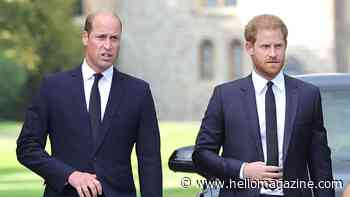Will Prince William reunite with Prince Harry during brief UK visit this week? Details