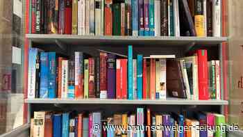 Bücherschränke in Wolfenbüttel: Dieses Problem gibt es häufiger