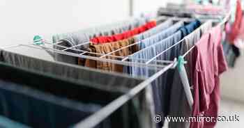 You've been drying your clothes wrong - expert warns mistake can cause 'detrimental damage'