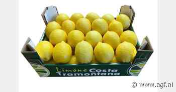 Rampjaar voor Siciliaanse citroen