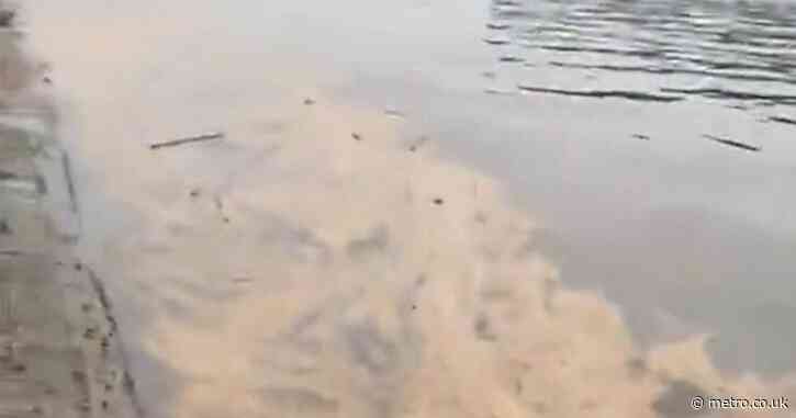 Video shows ‘oil slick of excrement’ flowing in the River Thames