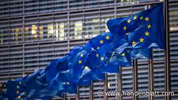 Drittstaatensubventionsverordnung: EU führt komplexe Prüfung finanzieller Zuwendungen durch