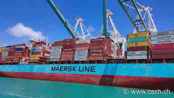Maersk: Bis zu 20 Prozent weniger Kapazität wegen Lage im Roten Meer