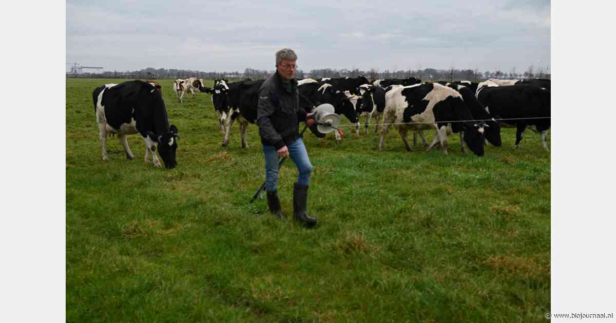 Masterclass Melkveehouderij als één groot ecosysteem bij Maatschap Keurentjes