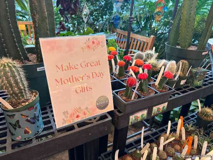 Botanical Conservatory has everything you need to make Mother's Day special