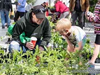 Lined up hours ahead: Windsor's annual plant sale draws huge crowd