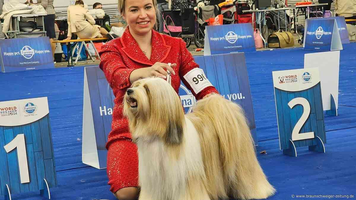 Tierisch schön – Gifhorner Hunde-Models räumen international ab